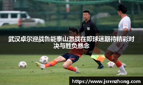 JN体育